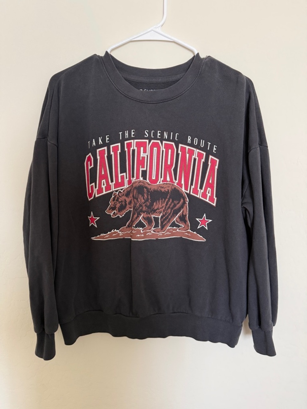 Z Supply Black California Bear Graphic Sweatshirt